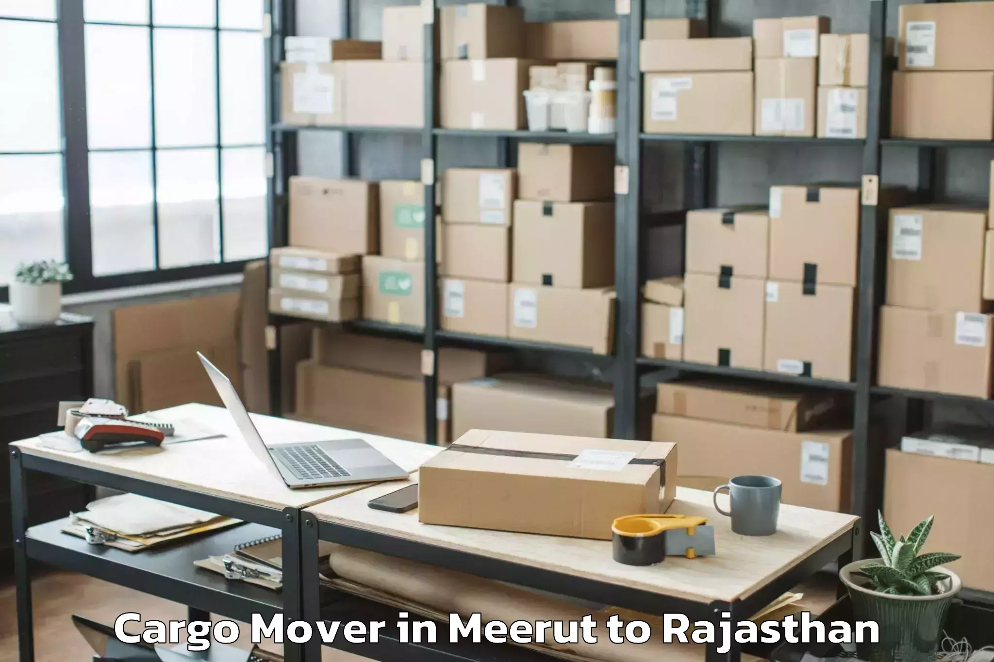 Easy Meerut to Kekri Cargo Mover Booking